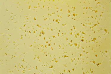 Similar image 21018824