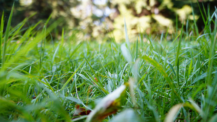 Similar image 21018877