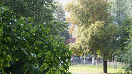 Similar image 21018878