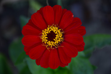 Similar image 21018266