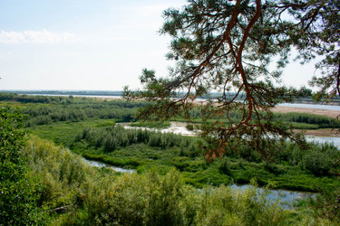 Similar image 21018303