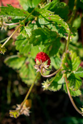 Similar image 21018309