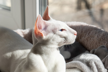 Similar image 21019008