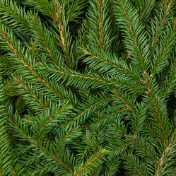 Similar image 21019013