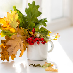 Similar image 21019016