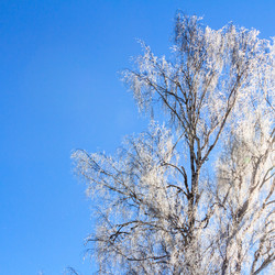 Similar image 21019019