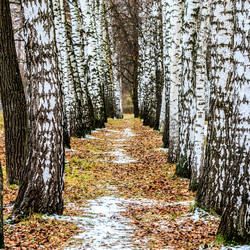 Similar image 21019023