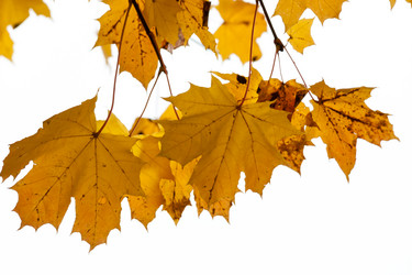 Similar image 21019028