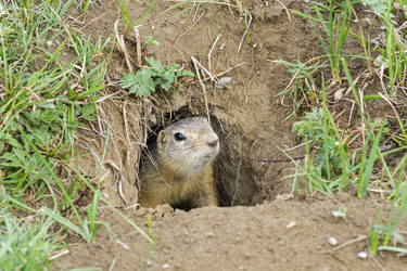 Similar image 21018513