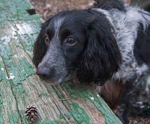 Similar image 21018515