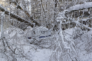 Similar image 21018521