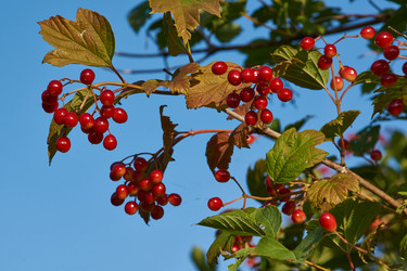 Similar image 21018587