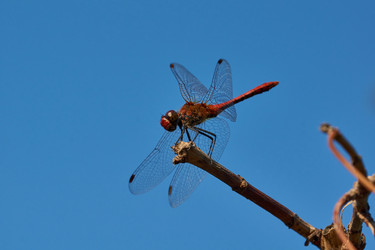 Similar image 21018591