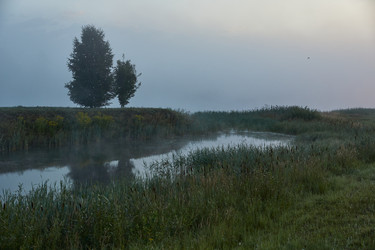 Similar image 21018599