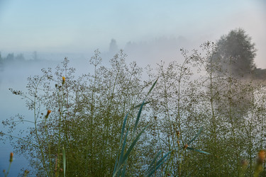 Similar image 21018605