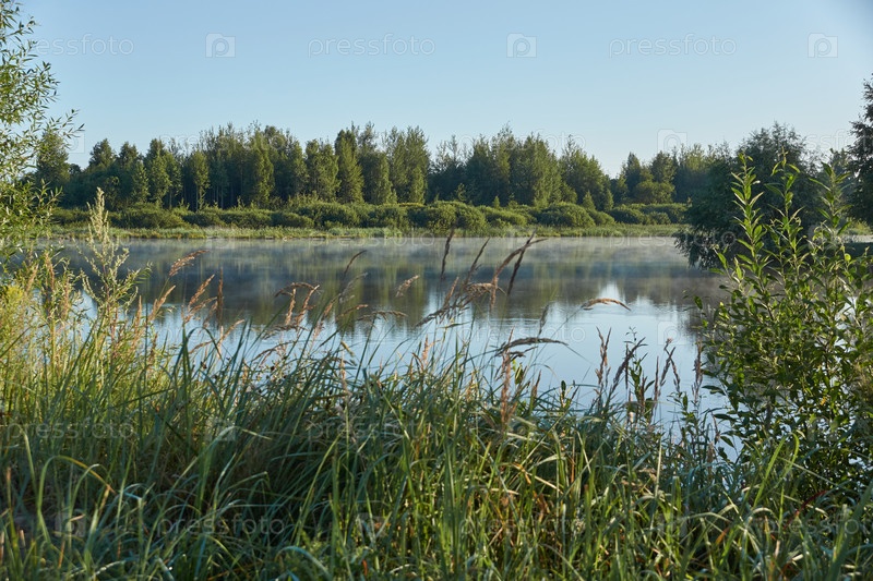 Девочки на озере фото