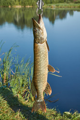 Similar image 21018609