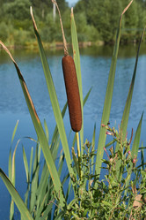 Similar image 21018611