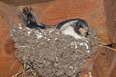 Similar image 21018612