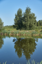 Similar image 21018614