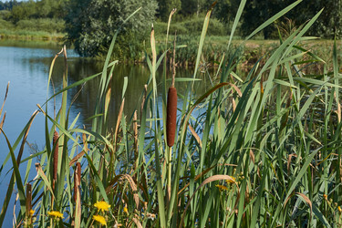 Similar image 21018616