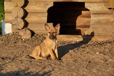 Similar image 21018617