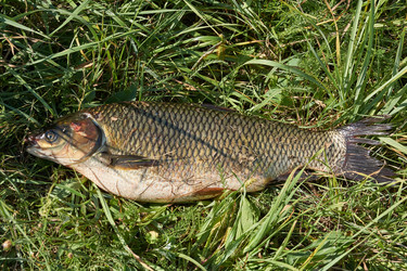 Similar image 21018618