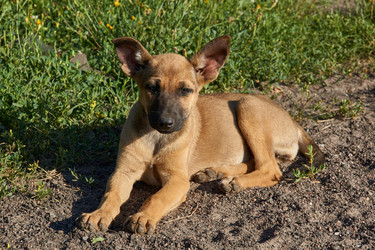 Similar image 21018619