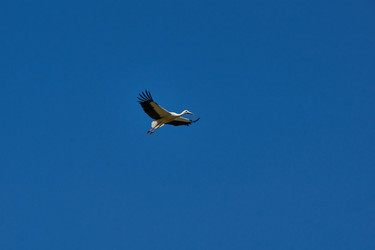 Similar image 21018620