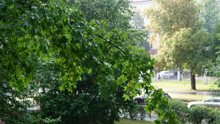 Similar image 21019027