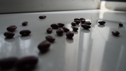 Similar image 21019002