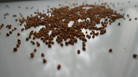 Similar image 21019003