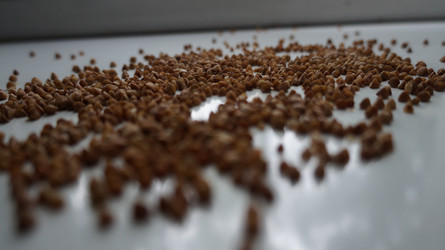 Similar image 21019004