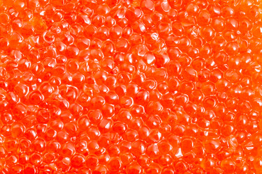 Similar image 21060216