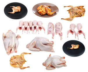 Similar image 21060225