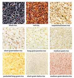 Similar image 21060229