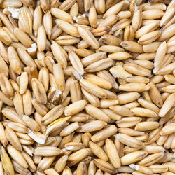 Similar image 21060268