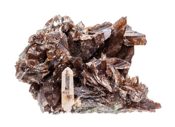 Similar image 21066650