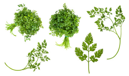 Similar image 21062295