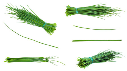 Similar image 21062321