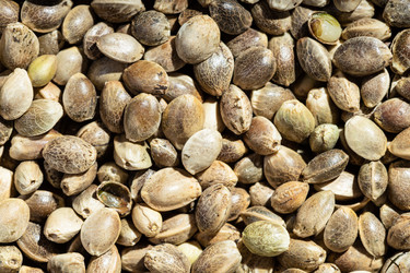 Similar image 21065943