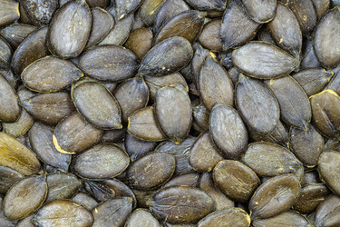 Similar image 21072079