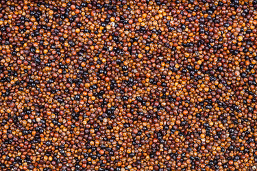 Similar image 21076162