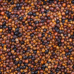 Similar image 21076163