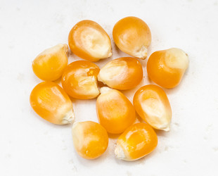 Similar image 21076164