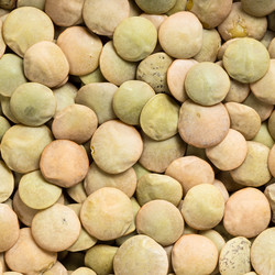 Similar image 21065328