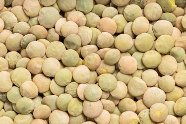 Similar image 21065379