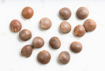 Similar image 21072082