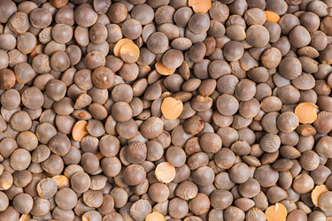 Similar image 21072084