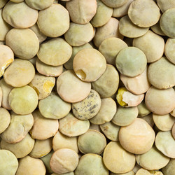 Similar image 21076168